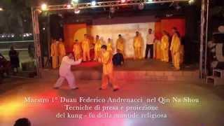 M° FEDERICO  ANDRENACCI:  QIN NA SHOU