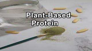 The Ecological and Ethical Imperative of Plant-Based Protein - Brenda Davis, R.D.