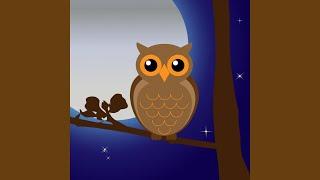 The sound of a babbling swamp owl in nature