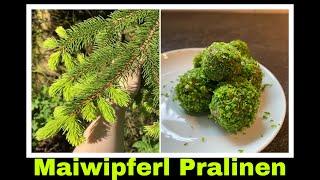 Haselnuss Pralinen mit Maiwipfel Honig Rezept | Fichtenspitzensirup | Selbstversorgung