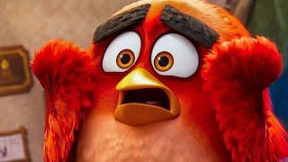 THE ANGRY BIRDS MOVIE 2 - 8 Minutes Clips + Trailers (2019)