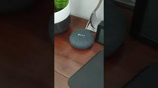 Did Google Home just swear?!