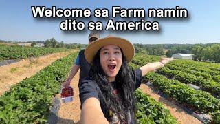 ITO ANG FARM NAMIN DITO SA ANERICA KOREAN FILIPINO SIMPLE LIVING IN AMERICA