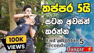 තප්පර 5 සටන් අවසන් කරන්න | End a figh in 5 seconds -SL LION HEART