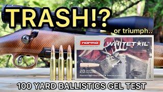 308 Winchester Norma Whitetail Ballistics Gel Ammo Test