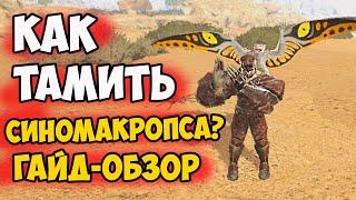 Как ПРИРУЧИТЬ СИНОМАКРОПСа в ARK? Гайд ОБЗОР на Sinomacrops! Новая ИМБА в Lost Island?