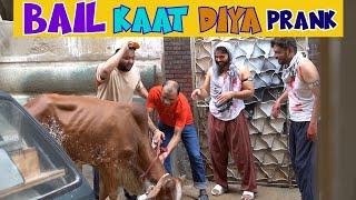 | Bail Kaat Diya Prank | By Nadir Ali & Ahmed khan in | P4 Pakao | 2022