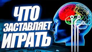 Что заставляет играть в азартные игры. Почему тяга к игре в казино.