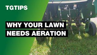 Why is Lawn Aeration Important in The Autumn? | Lawn Care Tips