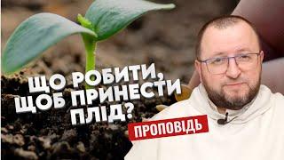 Що такого надзвичайного у зерні? // Проповідь о.РОМАНА ЛАБИ