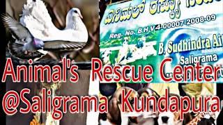 Animals Rescue Center  , Saligrama-Kundapura. AP_CREATIONS