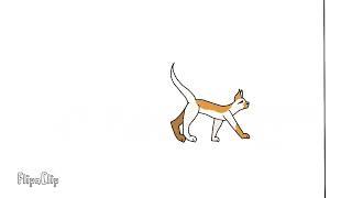 Cat Walking Animation But FINISHED // MangoAnimates