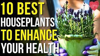 10 Houseplants for Enhancing Your Health | Indoor Plants for Health!