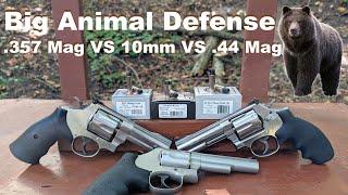 Big Animal Defense - .357 Mag VS 10mm VS .44 Mag in Revolvers - Underwood Hard Cast Ballistic Test