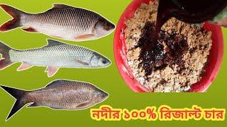 নদীতে মাছ ধরা ১০০% কার্যকারী চার || River Fishing Bait