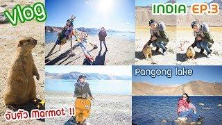 Vlog INDIA ทะเลสาบ สูงที่สุดในโลก PANGONG LAKE (LEH)  (Ep.3/5) 