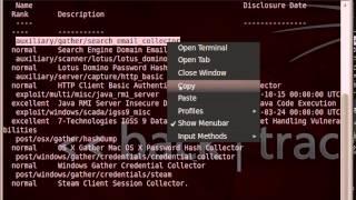 collect site emails in backtrack by metasploit