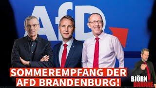 Sommerempfang der AfD Brandenburg