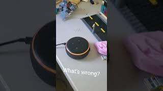 Alexa, what's wrong?