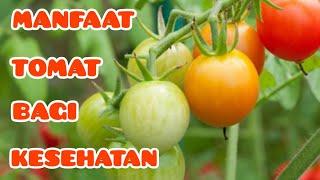 MANFAAT TOMAT BAGI KESEHATAN || TOMATO BENEFITS FOR HEALTH