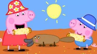 Peppas Picknick in Australien  Cartoons für Kinder  Peppa Wutz Neue Folgen