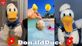 *1 HOUR* DonaldDucc Shorts Reaction 2024 | Best Donald Ducc Shorts 2024