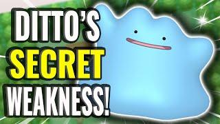 12 Obscure Unnoticed Details in Pokemon