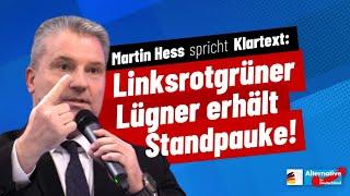 Linksrotgrüner Lügner erhält Standpauke!