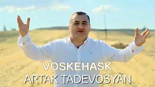 Artak Tadevosyan - VOSKEHASK