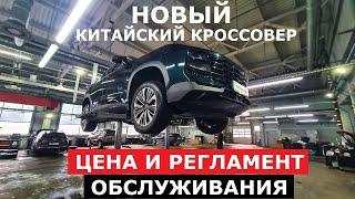 Цена и регламент обслуживания? Китайский кроссовер Jetour Dashing 2024 тех обзор на подъёмнике 4K