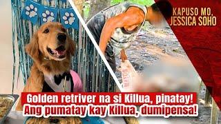 A man killed a pet dog in Camarines Sur! | Kapuso Mo, Jessica Soho