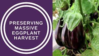 Preserving our massive Eggplant Harvest