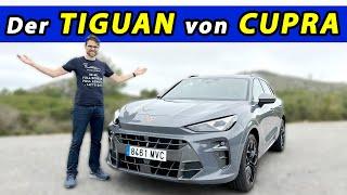 Cupra Terramar im Test: Ist der Tiguan von Cupra besser als der Formentor?