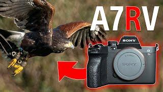 Sony A7RV - I WAS WRONG !!!  + RECOMMENDED SETTINGS for BIRD PHOTOGRAPHY 