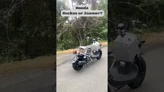 Honda Ruckus or Zoomer NPS50