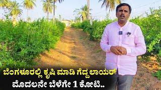 ಮೊದಲನೇ ಬೆಳೆಗೇ 1 ಕೋಟಿ | Farming in Karnataka | Fruits farming Kannada Agriculture pomegranate farmer