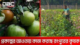 নিরাপদ সবজি: কৃষি গবেষণা ইন্সটিটিউট ও ইউসিবি ব্যাংকের যৌথ প্রকল্প | DBC NEWS