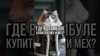 Кожа и мех в Стамбуле | Шубы и дублёнки из Турции #шортс шортс #shorts shorts #кожанаякуртка #турция