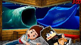 BLOOP attaque PAT PATROUILLE sur Minecraft !