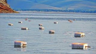 CARP ON FLOATS-SHIFTERS! THIS IS HOW THE LOCALS CATCH IN KHAKASSIA! Overnight fishing