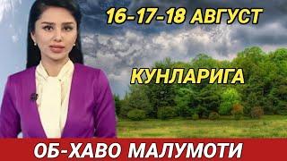 16-17-18 АВГУСТЬ  КУНЛАРИ УЧУН ОБ ХАВО МАЛУМОТИ, ob havo