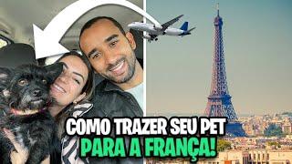 Como TRAZER SEU CACHORRO para morar na FRANÇA - Viajar com cachorro ou gato para a França