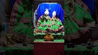 गोपीनाथ जी का मंदिर चिड़ावा | राधे कृष्ण मंदिर  | Chirawa Ke Mandir #chirawa #radhekrishna #shorts