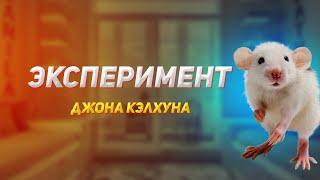 Почему мы обречены на гибель цивилизации. Эксперимент Джона Кэлхуна