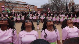 Howard University AKA Sorority, Inc. Alpha Chapter Probate | Spring '24