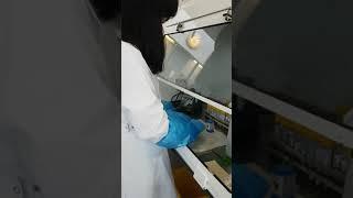 COVID-19 Testing | Biomedical Science at the Western Trust