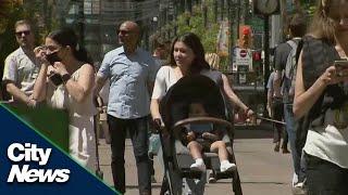 Calgary introduces new street harassment bylaw