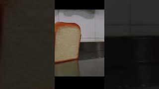 Goofy Bread Jumpscare #memes #meme #jumpscare #bread #fnaf