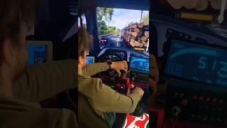 Euro truck simulator 2 : pc gameplay heavy Overtake drive #logitch g29 #short