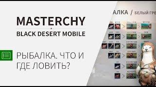 [Black Desert Mobile] Рыбалка. Что где выловить ?